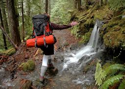 Hiking in Olympic National Park
