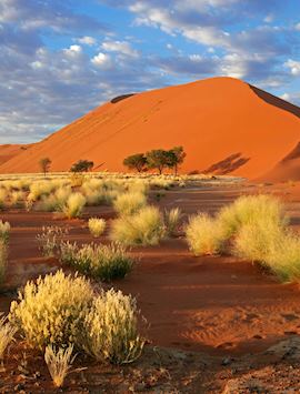 Sossusvlei, Namibia