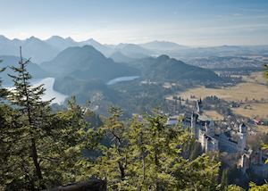 Neuschwanstein Castle from above